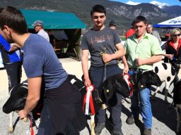 2019_ausstellung polling_567